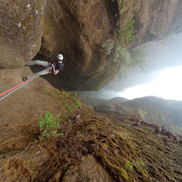 Tenerife: Guided Canyoning Experience in Los Arcos - Key highlights you’ll actually feel