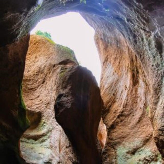 Tenerife: Guided Canyoning Experience in Los Arcos - Rappels in the Los Arcos Gorge: Volcanic Ash Walls Up to ~20 Metres