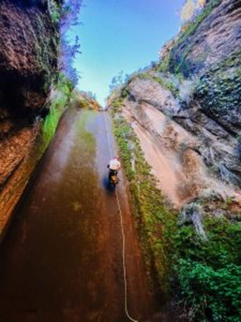 Tenerife: Guided Canyoning Experience in Los Arcos - Endemic Flora and Geology Talk: The Part That Makes It Memorable