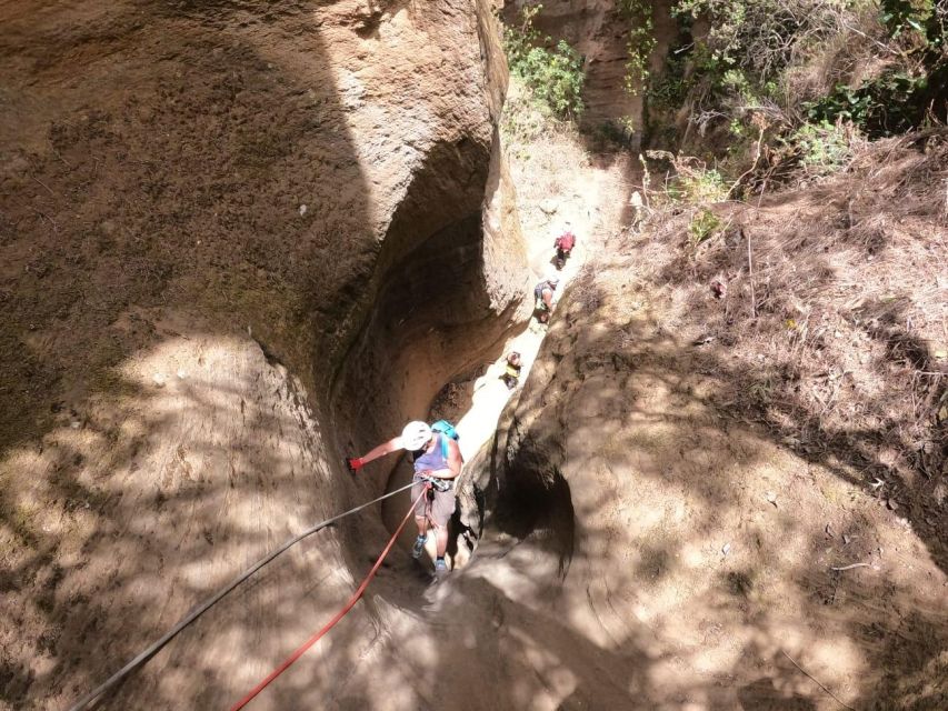 Tenerife: Guided Canyoning Experience in Los Arcos - Wildfire Recovery Walking: What the 2023 Fire Adds to the Day