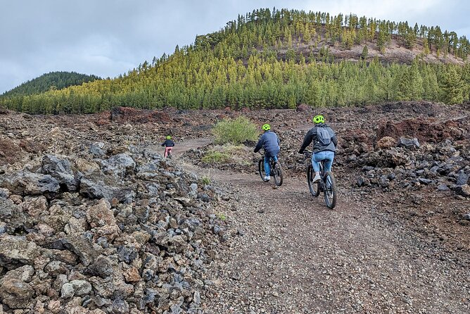 Tenerife: Guided Electric Mountain Bike Volcano Tour - Pine forests, lava fields, and why the route feels like a highlight reel