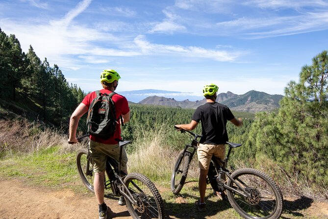 Tenerife: Guided Electric Mountain Bike Volcano Tour - The bikes, the guidance, and the downhill detail beginners should respect