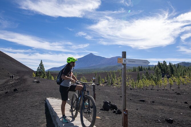 Tenerife: Guided Electric Mountain Bike Volcano Tour - Price and value: what your $108.37 actually buys