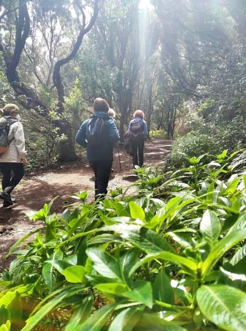 Tenerife: Guided hike in Anaga Rural Park - Getting ready at Cruz del Carmen: shoes, layers, and water
