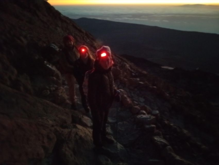 Tenerife: Guided Hike to the Peak of Mount Teide - From Volcanic Rocks to the Summit: What Happens on the Way Up