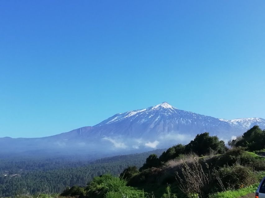 Tenerife: Guided Horseback Riding Tour to the Lomo Forest - Quick hits before you go