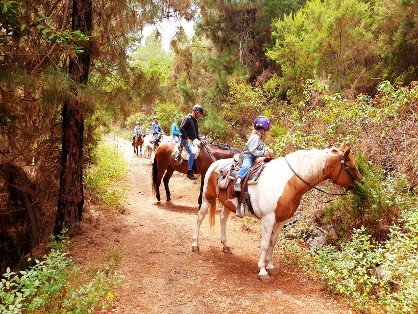 Tenerife: Guided Horseback Riding Tour to the Lomo Forest - Getting ready: helmets, horse bonding, and pairing you with the right mount