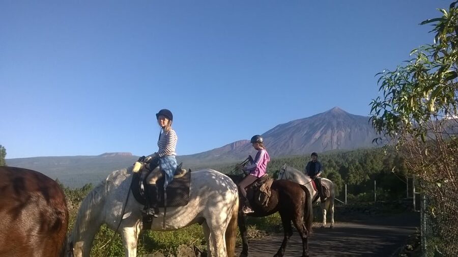 Tenerife: Guided Horseback Riding Tour to the Lomo Forest - Price and value: is $57 for 1.5 hours worth it?