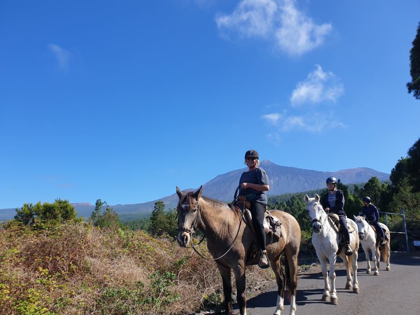 Tenerife: Guided Horseback Riding Tour to the Lomo Forest - Finca Estrella meeting point and how to arrive without stress