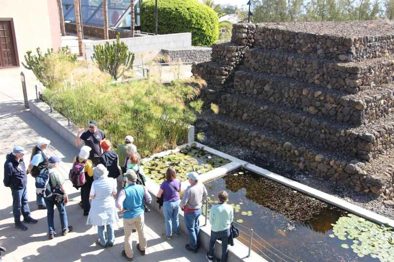 Tenerife: Guided tour at Pirámides de Güímar - Panoramic Terrace: the views aren’t just a reward