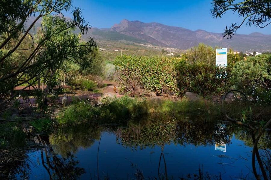 Tenerife: Guided tour at Pirámides de Güímar - What’s not included: poisonous garden and one exhibition