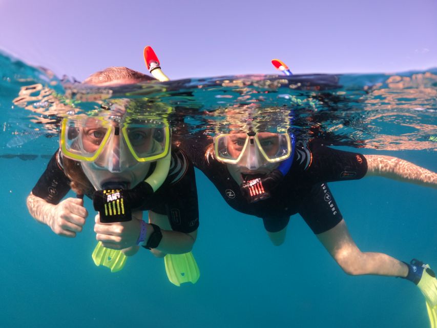 Tenerife: Half-Day Snorkeling Tour - Abades Bay snorkeling: why this spot works