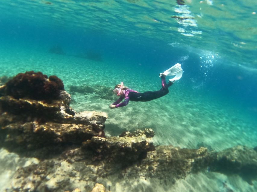 Tenerife: Half-Day Snorkeling Tour - Pickup, language, and small-group coaching that actually helps