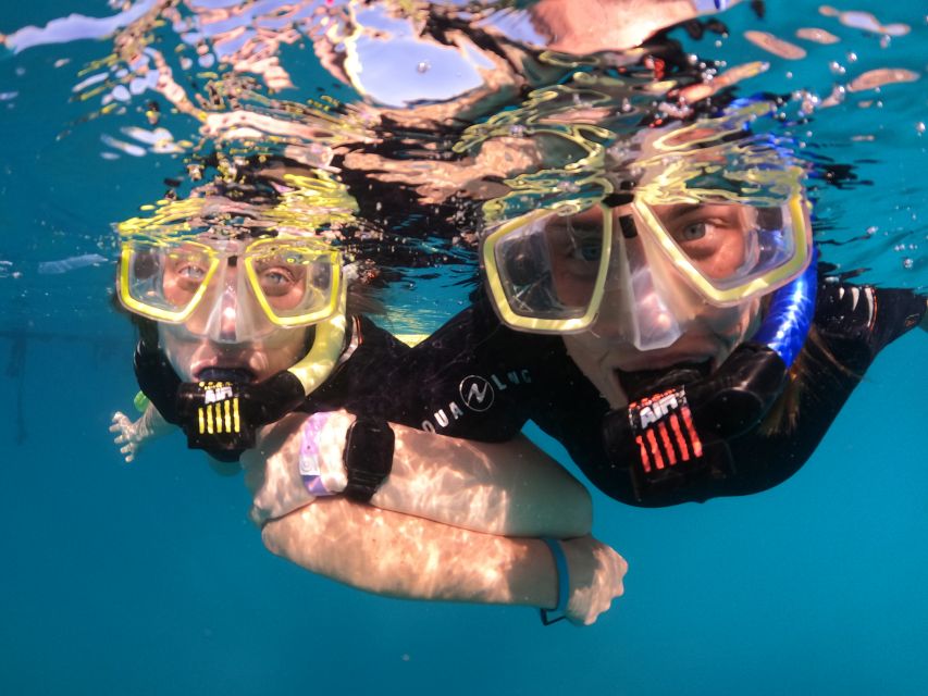 Tenerife: Half-Day Snorkeling Tour - Guided snorkeling hour: how the guide helps you see more