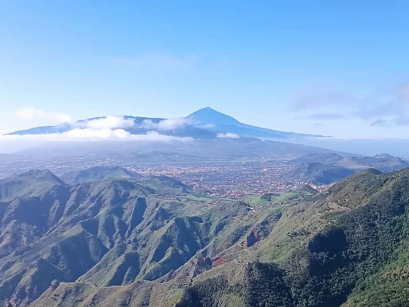Tenerife Hidden Gem: Anaga Hike, Bajamar Pools & Cocktail - Key things you’ll notice on this tour