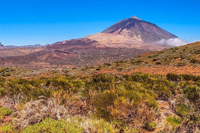 Tenerife Highlights Full-Day Tour - The big idea: a highlights loop that saves you from logistics headaches