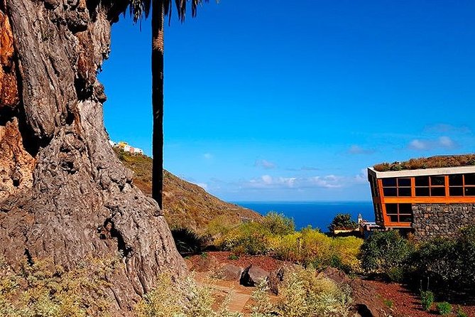 Tenerife Highlights Full-Day Tour - Garachico’s black-sand port: a town shaped by eruption and rebuilding