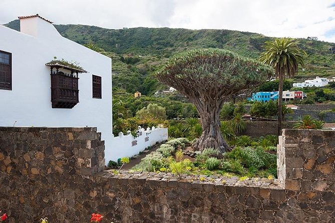 Tenerife Highlights Full-Day Tour - Coach comfort, time on the road, and why pickup details matter