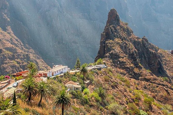 Tenerife Highlights Full-Day Tour - Lunch strategy: own expense, set menus, and how to avoid a bad meal