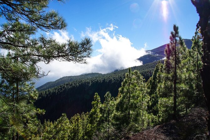 Tenerife Highlights VIP Custom Private Tour - photos included - Candelaria: Black Madonna, sea-front square, and optional lunch