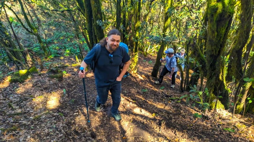 Tenerife: Hike Above Masca in Enchanted Forest with Pick-up - The Picnic on a Historical Stop: Small Break, Big Reset