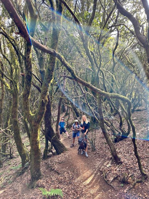Tenerife: Hike Above Masca in Enchanted Forest with Pick-up - Four Climate Zones in One Hike: Why the Weather Can Confuse You