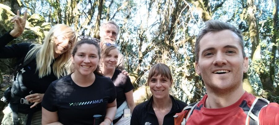 Tenerife: Hike Above Masca in Enchanted Forest with Pick-up - Small Group Style: Better Photos, Better Pace, Better Day