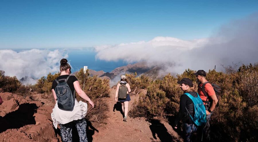 Tenerife: Hike Above Masca in Enchanted Forest with Pick-up - Pine Forest Views: Teide, Lava, and Masca’s Opposite Reality