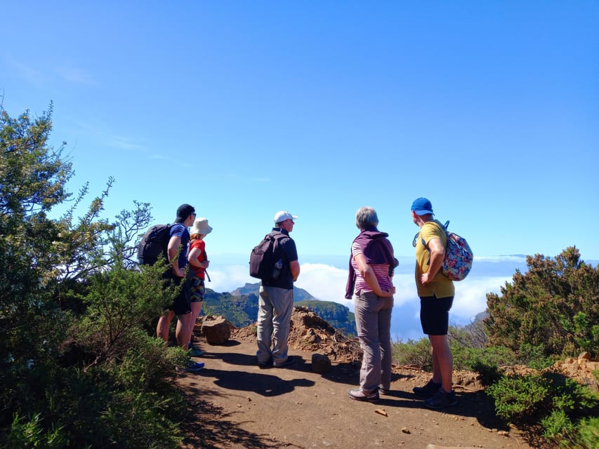 Tenerife: Hiking Above the Village of Masca - Pace, Comfort, and What to Pack (Rain Forest Edition)