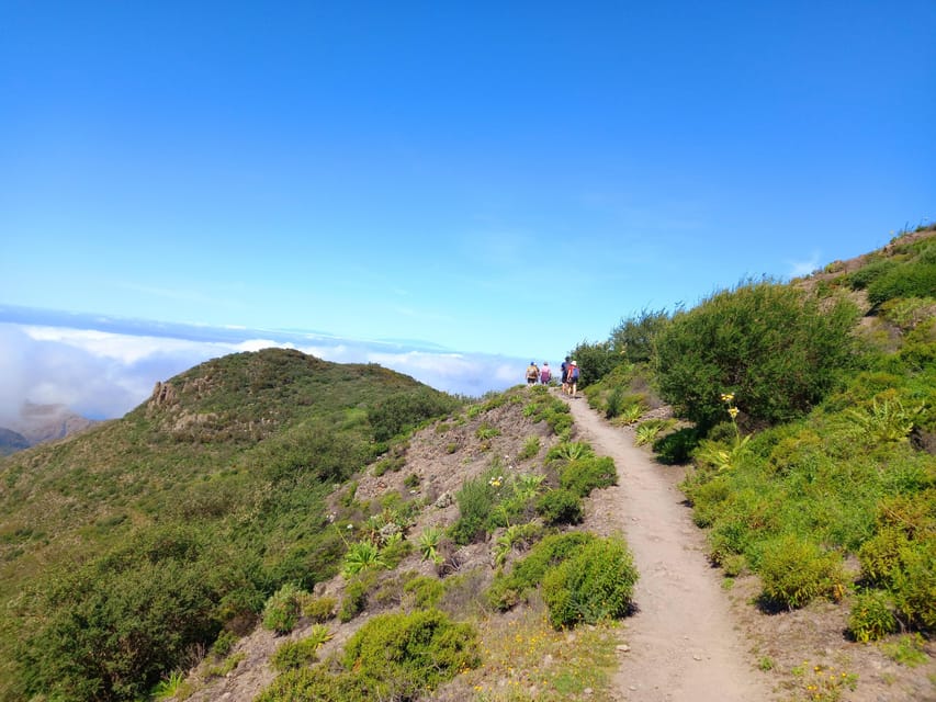 Tenerife: Hiking Above the Village of Masca - The Route at a Glance: 12 km, Moderate Effort, Real Payoff