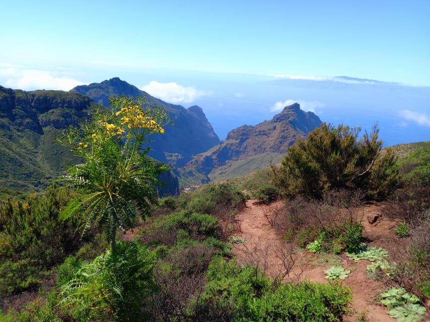 Tenerife: Hiking Above the Village of Masca - The Sub-Tropical Rainforest Segment: Why It’s More Than Scenery