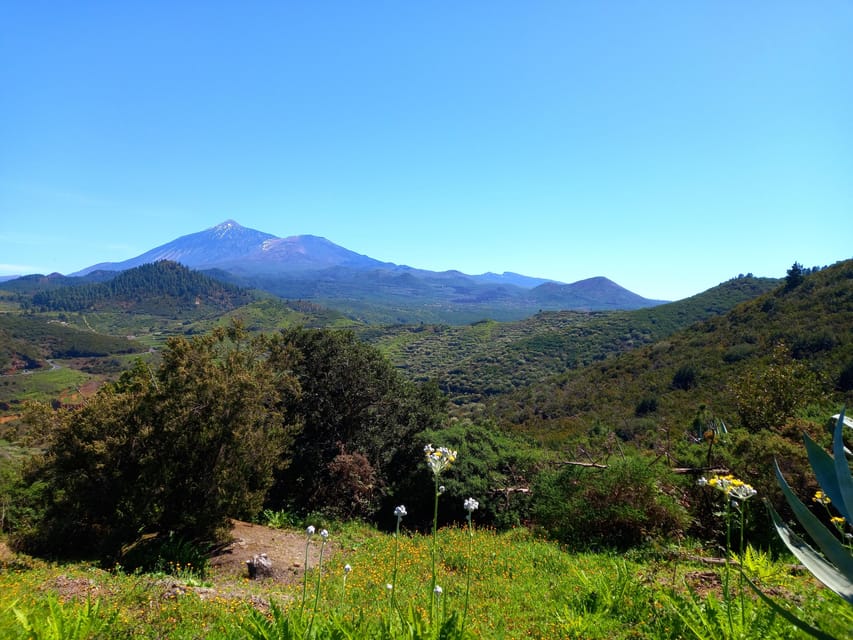 Tenerife: Hiking Above the Village of Masca - Looking Down: Masca Gorge and the Hamlet From Above
