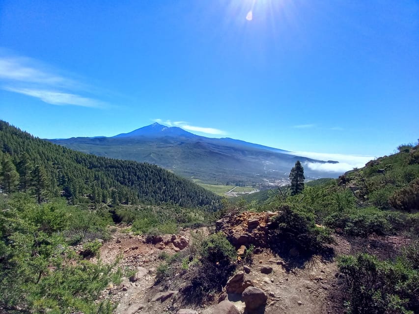 Tenerife: Hiking Above the Village of Masca - Pine Forest Descent and a Valley That Feels Like English Countryside