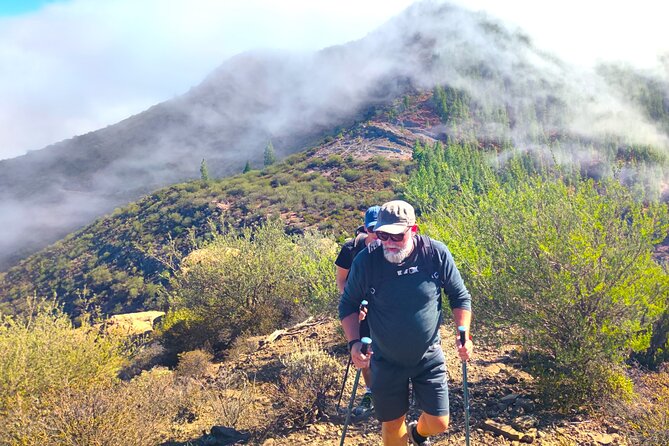 Tenerife: Hiking through Enchanted forest Above Masca with PICKUP - Guides: Elena, Alex, and the value of a small-group teacher