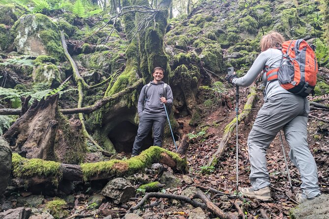 Tenerife: Hiking through Enchanted forest Above Masca with PICKUP - The route in plain terms: doable, but not “easy mode”