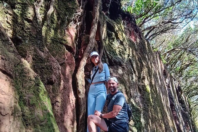 Tenerife: Hiking Tour in Anaga Mountains and Enchanted Forest - Key highlights you’ll actually care about