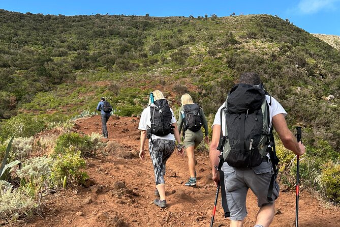 Tenerife: Hiking Tour in Anaga Mountains and Enchanted Forest - Getting to the Anaga trail with smooth pickup and real time in nature