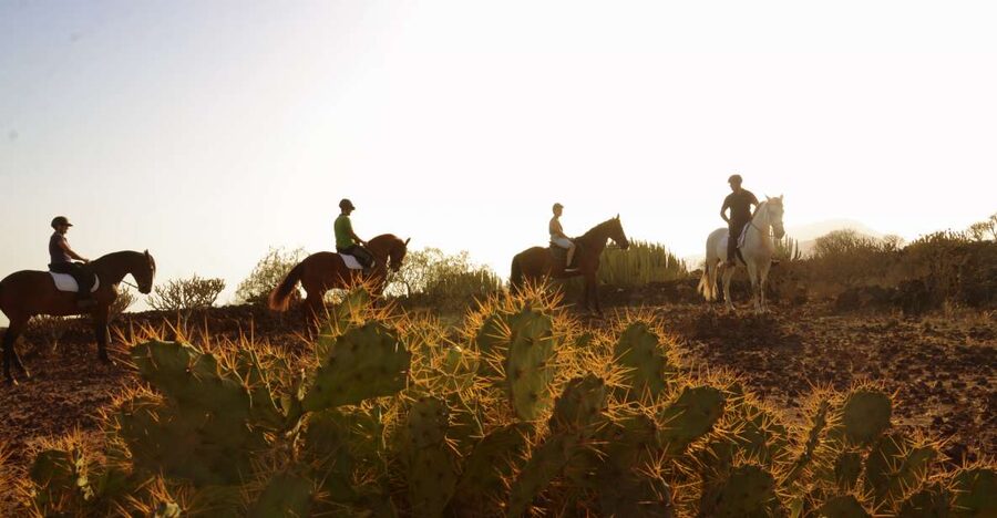 Tenerife: Horseback Ride with Instructor - Xanadu Riding Center in Arona: the calm start that sets the tone