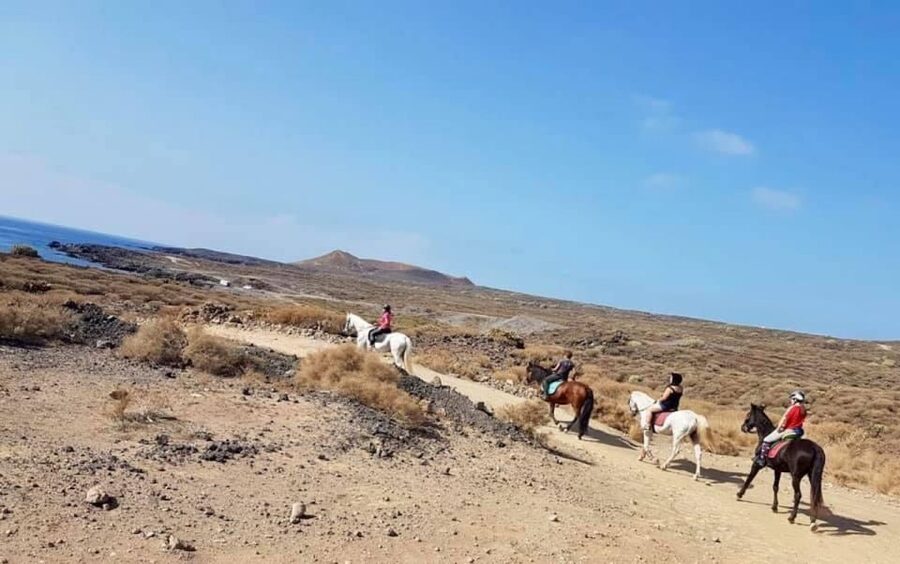 Tenerife: Horseback Ride with Instructor - Volcanic trails and Canarian plants: why this route feels like Tenerife