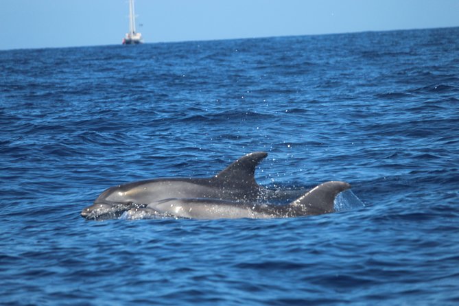 Tenerife : Jet Ski Tour with option for Quad Trip - That Swimming and Snorkeling Break: Great If Conditions Behave