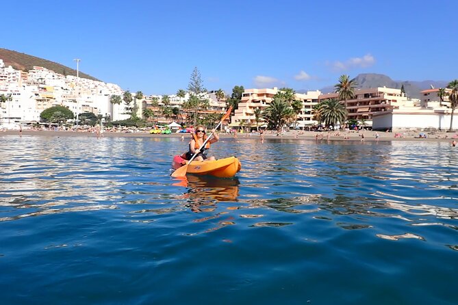 Tenerife: Kayak and snorkel with marine life safari - Wildlife chances: dolphins and turtles, plus the reality check