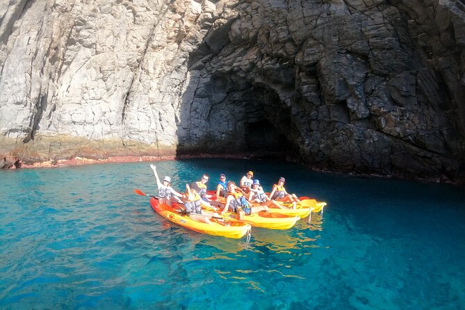 Tenerife: Kayak and snorkel with marine life safari - Snorkeling stop options: go in, or keep it easy