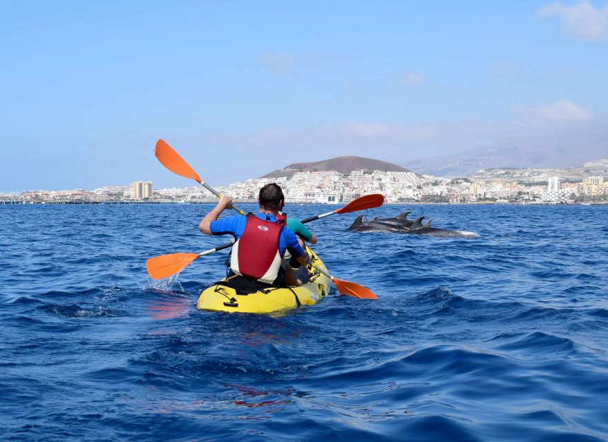 Tenerife: Kayak and Snorkel with Turtles, Wetsuits Included - Who This Tour Fits Best (and Who Should Skip It)