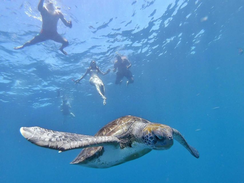 Tenerife: Kayak Safari and Snorkel in a Marine Reserve - Montaña de Guaza: more paddling, more chances