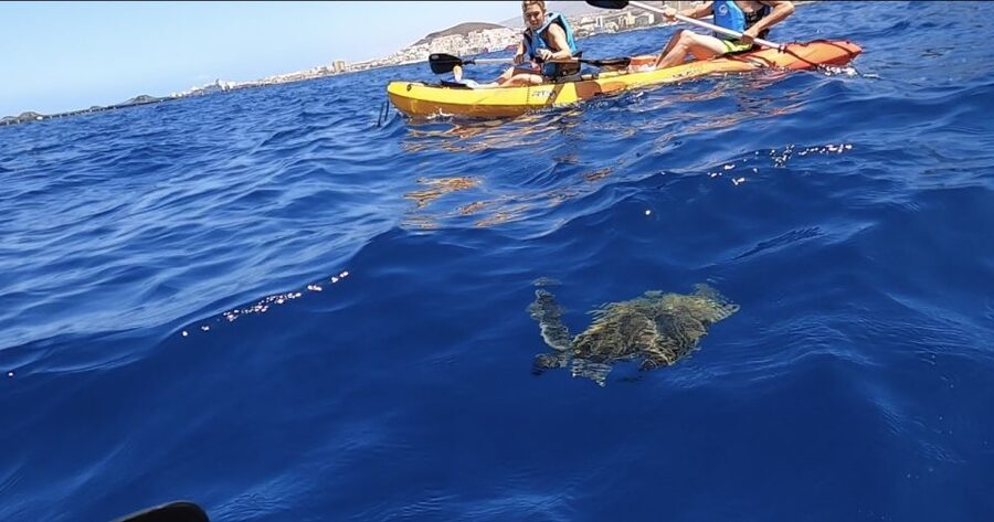 Tenerife: Kayak Safari and Snorkel in a Marine Reserve - The kayaking part: instruction, then coast-hugging routes