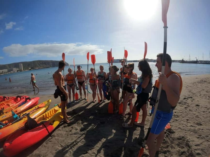 Tenerife: Kayak Sea Safari with Snorkel and Snacks - Wildlife respect: the part that makes sightings feel worth it