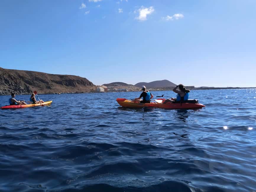 Tenerife: Kayak Sea Safari with Snorkel and Snacks - Value check: is $41 a fair deal for a wetsuit, guide, and sea time?