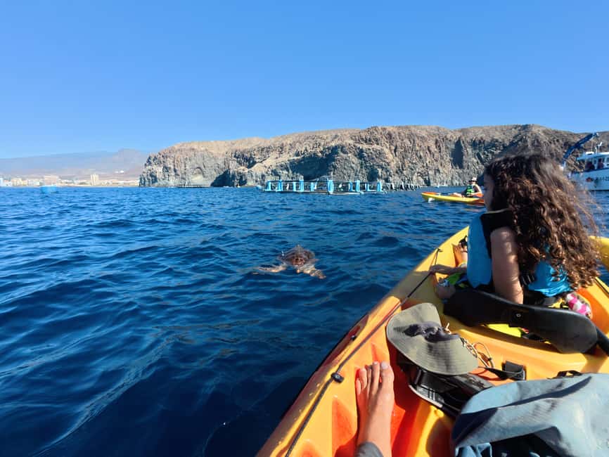 Tenerife: Kayak Sea Safari with Snorkel and Snacks - Should you book Mana Kayak’s Tenerife sea safari?
