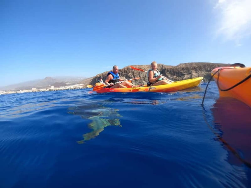Tenerife: Kayak Sea Safari with Snorkel and Snacks - FAQ