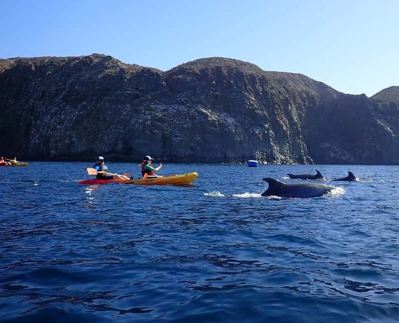 Tenerife: Kayak Sea Safari with Snorkel and Snacks - Playa Los Cristianos paddling and the Cueva de los Enamorados photo pass
